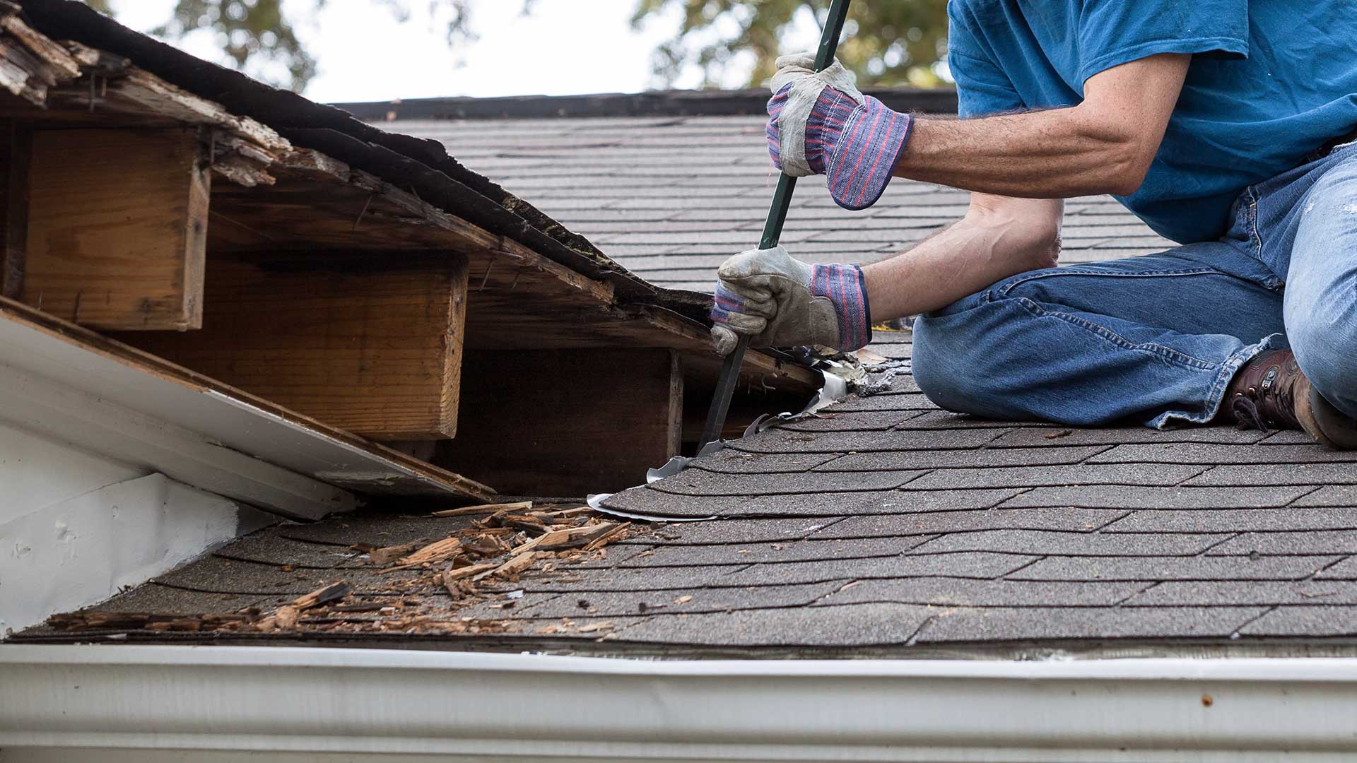 These are the Main Reasons Your Roof Is Leaking